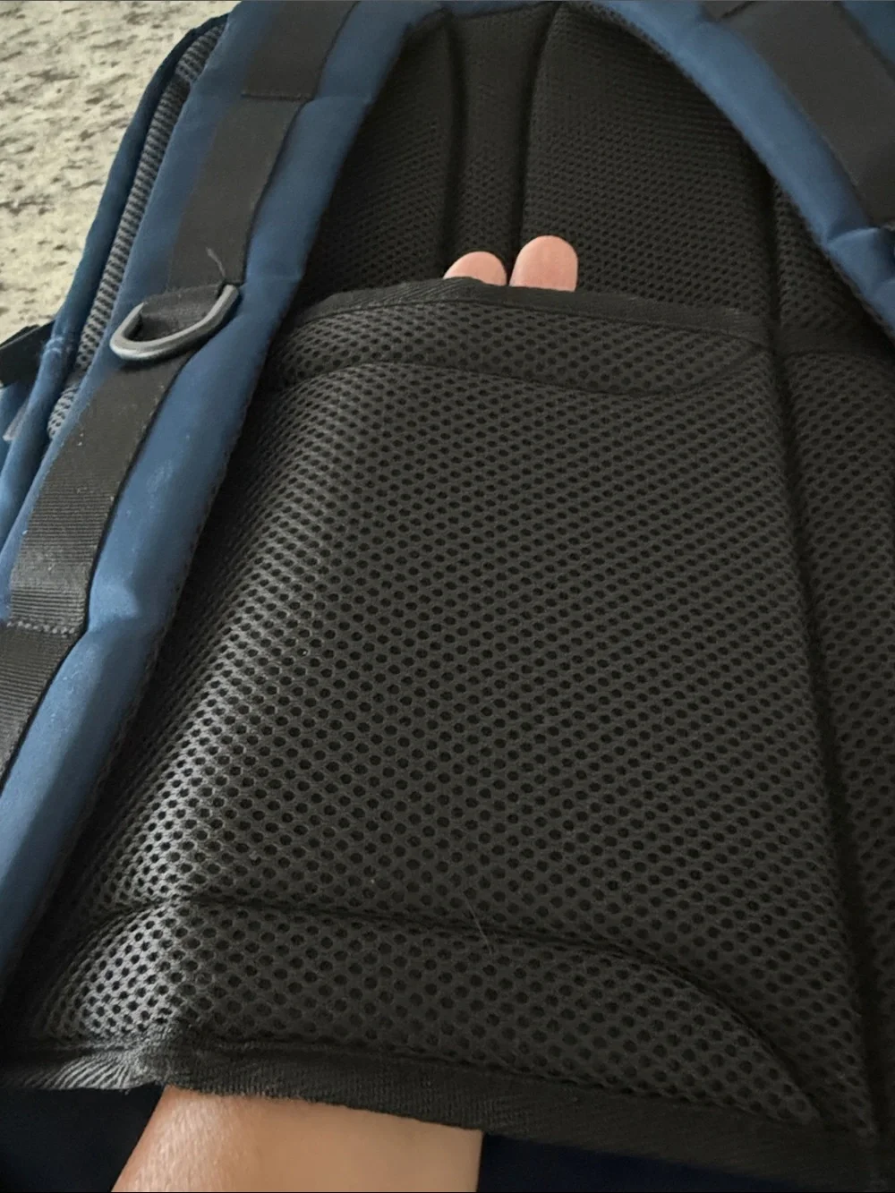 Original Penguin Blue Backpack with White Accent Zipper